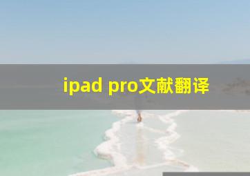 ipad pro文献翻译